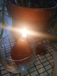candle on plant table